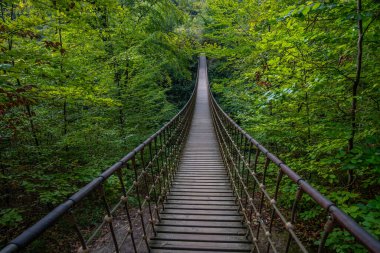 Bir vadi üzerindeki ahşap asma köprü, Alman ormanındaki güzel doğa ve ağaçlar.