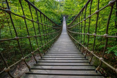 Bir vadi üzerindeki ahşap asma köprü, Alman ormanındaki güzel doğa ve ağaçlar.