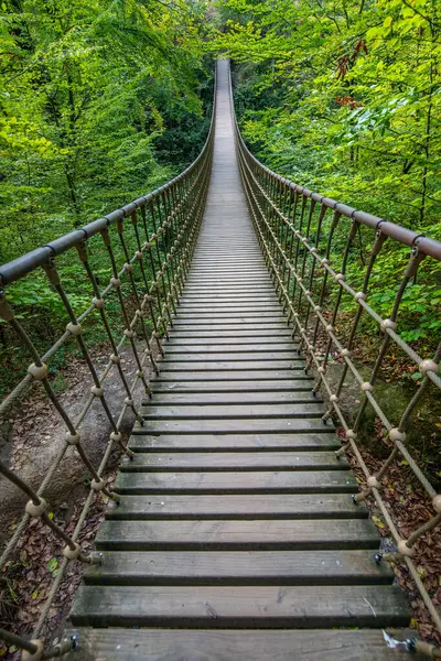 Bir vadi üzerindeki ahşap asma köprü, Alman ormanındaki güzel doğa ve ağaçlar.