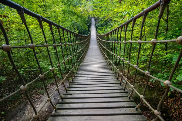 Bir vadi üzerindeki ahşap asma köprü, Alman ormanındaki güzel doğa ve ağaçlar.