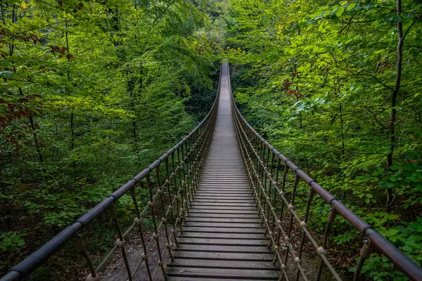 Bir vadi üzerindeki ahşap asma köprü, Alman ormanındaki güzel doğa ve ağaçlar.