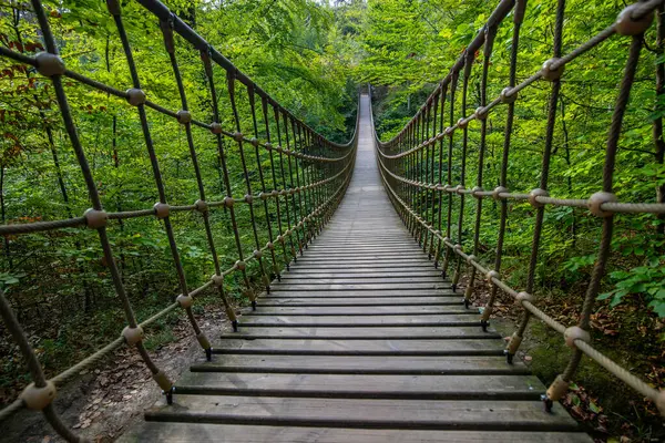 Bir vadi üzerindeki ahşap asma köprü, Alman ormanındaki güzel doğa ve ağaçlar.