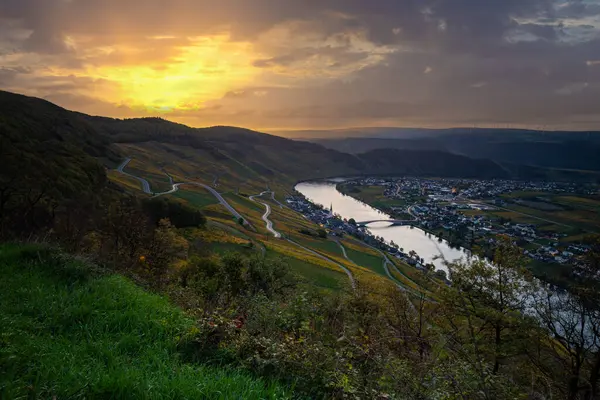 Sonbaharda güzel üzüm bağları, sarı yapraklar, üzüm bağlarının arasında rüya gibi bir gün doğumu. Moselle 'in ve Piesport yakınlarındaki Moselle Vadisi' nin sarmaşıkları arasından bakın..