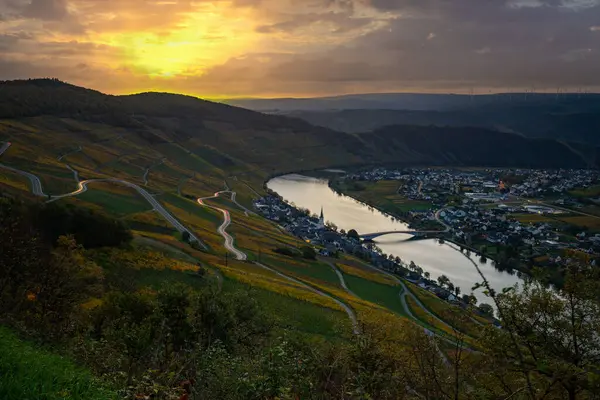Sonbaharda güzel üzüm bağları, sarı yapraklar, üzüm bağlarının arasında rüya gibi bir gün doğumu. Moselle 'in ve Piesport yakınlarındaki Moselle Vadisi' nin sarmaşıkları arasından bakın..