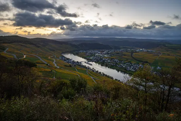 Sonbaharda güzel üzüm bağları, sarı yapraklar, üzüm bağlarının arasında rüya gibi bir gün doğumu. Moselle 'in ve Piesport yakınlarındaki Moselle Vadisi' nin sarmaşıkları arasından bakın..