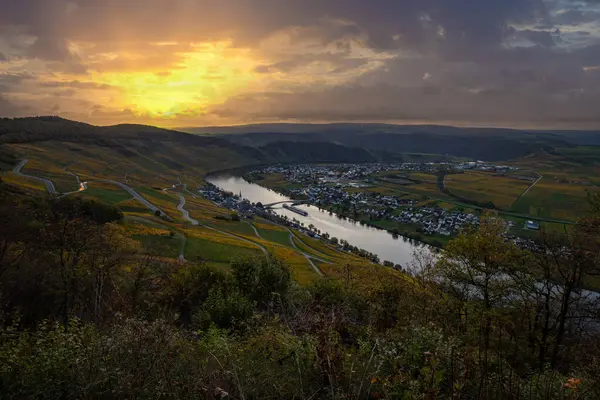 Sonbaharda güzel üzüm bağları, sarı yapraklar, üzüm bağlarının arasında rüya gibi bir gün doğumu. Moselle 'in ve Piesport yakınlarındaki Moselle Vadisi' nin sarmaşıkları arasından bakın..