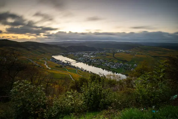 Sonbaharda güzel üzüm bağları, sarı yapraklar, üzüm bağlarının arasında rüya gibi bir gün doğumu. Moselle 'in ve Piesport yakınlarındaki Moselle Vadisi' nin sarmaşıkları arasından bakın..