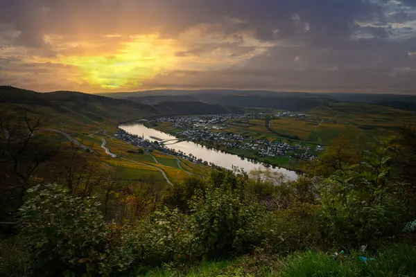 Sonbaharda güzel üzüm bağları, sarı yapraklar, üzüm bağlarının arasında rüya gibi bir gün doğumu. Moselle 'in ve Piesport yakınlarındaki Moselle Vadisi' nin sarmaşıkları arasından bakın..