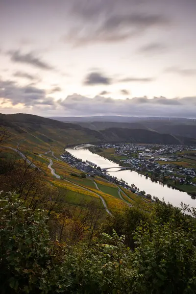 Sonbaharda güzel üzüm bağları, sarı yapraklar, üzüm bağlarının arasında rüya gibi bir gün doğumu. Moselle 'in ve Piesport yakınlarındaki Moselle Vadisi' nin sarmaşıkları arasından bakın..