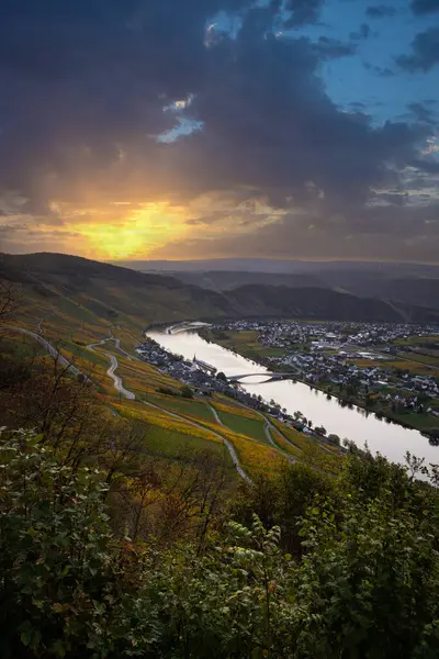Sonbaharda güzel üzüm bağları, sarı yapraklar, üzüm bağlarının arasında rüya gibi bir gün doğumu. Moselle 'in ve Piesport yakınlarındaki Moselle Vadisi' nin sarmaşıkları arasından bakın..