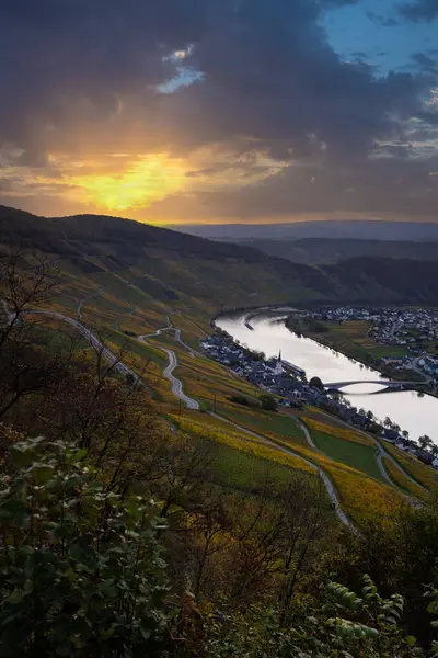 Sonbaharda güzel üzüm bağları, sarı yapraklar, üzüm bağlarının arasında rüya gibi bir gün doğumu. Moselle 'in ve Piesport yakınlarındaki Moselle Vadisi' nin sarmaşıkları arasından bakın..