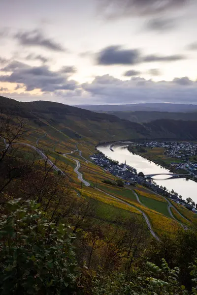 Sonbaharda güzel üzüm bağları, sarı yapraklar, üzüm bağlarının arasında rüya gibi bir gün doğumu. Moselle 'in ve Piesport yakınlarındaki Moselle Vadisi' nin sarmaşıkları arasından bakın..