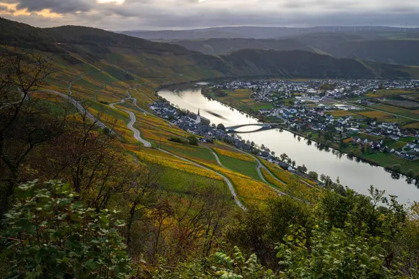 Sonbaharda güzel üzüm bağları, sarı yapraklar, üzüm bağlarının arasında rüya gibi bir gün doğumu. Moselle 'in ve Piesport yakınlarındaki Moselle Vadisi' nin sarmaşıkları arasından bakın..