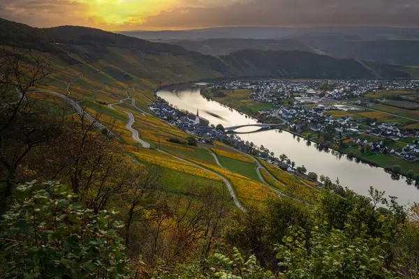 Sonbaharda güzel üzüm bağları, sarı yapraklar, üzüm bağlarının arasında rüya gibi bir gün doğumu. Moselle 'in ve Piesport yakınlarındaki Moselle Vadisi' nin sarmaşıkları arasından bakın..
