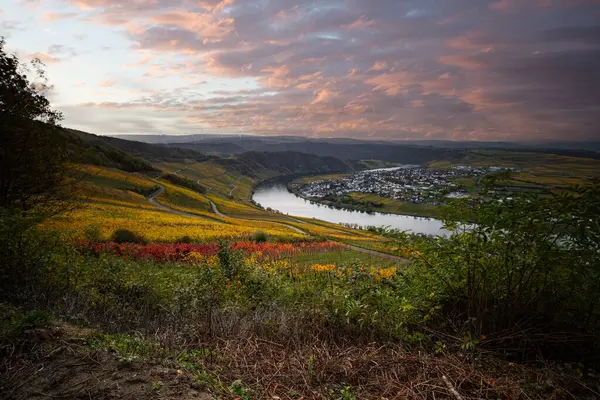 Sonbaharda güzel üzüm bağları, sarı yapraklar, üzüm bağlarının arasında rüya gibi bir gün doğumu. Moselle 'in ve Piesport yakınlarındaki Moselle Vadisi' nin sarmaşıkları arasından bakın..