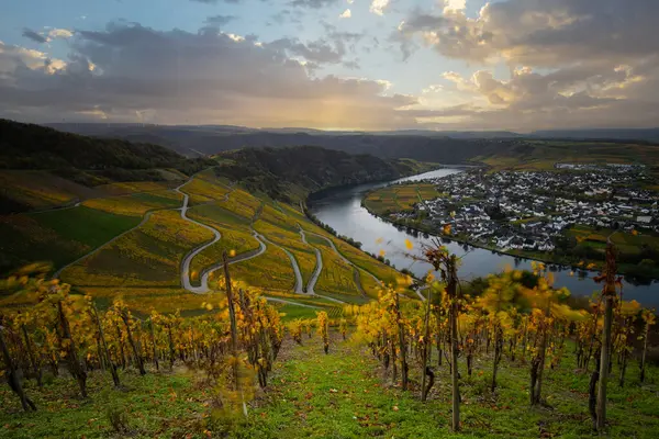 Sonbaharda güzel üzüm bağları, sarı yapraklar, üzüm bağlarının arasında rüya gibi bir gün doğumu. Yollar, Piesport yakınlarındaki güneşli Moselle Vadisi 'nin dik yamaçlarından geçiyor..