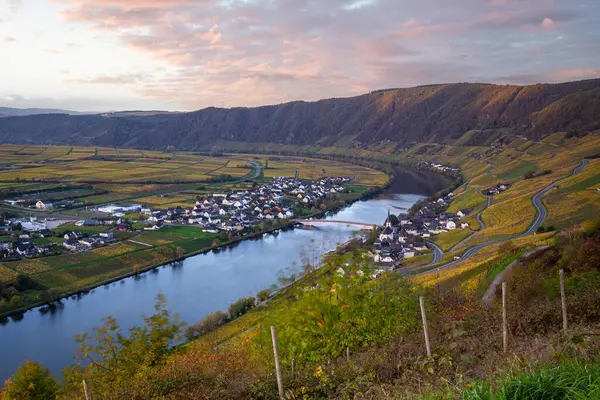 Sonbaharda güzel üzüm bağları, sarı yapraklar, üzüm bağlarının arasında rüya gibi bir gün doğumu. Moselle 'in ve Piesport yakınlarındaki Moselle Vadisi' nin sarmaşıkları arasından bakın..