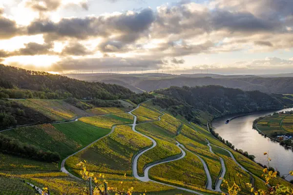 Sonbaharda güzel üzüm bağları, sarı yapraklar, üzüm bağlarının arasında rüya gibi bir gün doğumu. Yollar, Piesport yakınlarındaki güneşli Moselle Vadisi 'nin dik yamaçlarından geçiyor..