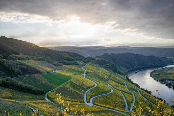 Sonbaharda güzel üzüm bağları, sarı yapraklar, üzüm bağlarının arasında rüya gibi bir gün doğumu. Yollar, Piesport yakınlarındaki güneşli Moselle Vadisi 'nin dik yamaçlarından geçiyor..