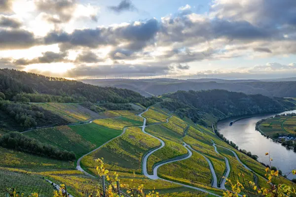 Sonbaharda güzel üzüm bağları, sarı yapraklar, üzüm bağlarının arasında rüya gibi bir gün doğumu. Yollar, Piesport yakınlarındaki güneşli Moselle Vadisi 'nin dik yamaçlarından geçiyor..