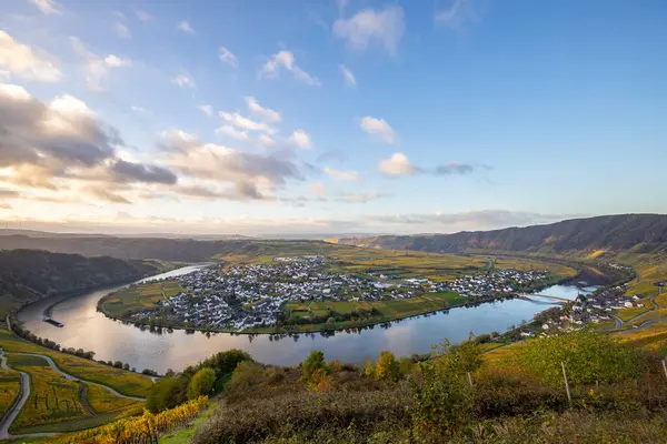 Sonbaharda güzel üzüm bağları, sarı yapraklar, üzüm bağlarının arasında rüya gibi bir gün doğumu. Moselle 'in ve Piesport yakınlarındaki Moselle Vadisi' nin sarmaşıkları arasından bakın..