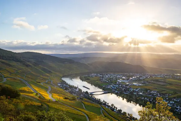 Sonbaharda güzel üzüm bağları, sarı yapraklar, üzüm bağlarının arasında rüya gibi bir gün doğumu. Yollar, Piesport yakınlarındaki güneşli Moselle Vadisi 'nin dik yamaçlarından geçiyor..