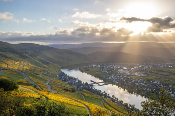 Sonbaharda güzel üzüm bağları, sarı yapraklar, üzüm bağlarının arasında rüya gibi bir gün doğumu. Yollar, Piesport yakınlarındaki güneşli Moselle Vadisi 'nin dik yamaçlarından geçiyor..