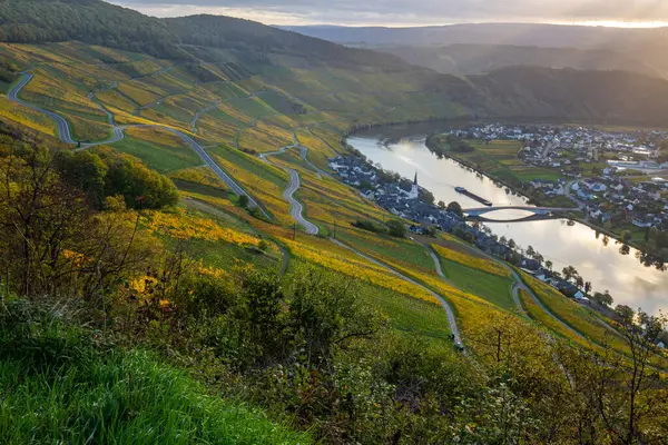 Sonbaharda güzel üzüm bağları, sarı yapraklar, üzüm bağlarının arasında rüya gibi bir gün doğumu. Yollar, Piesport yakınlarındaki güneşli Moselle Vadisi 'nin dik yamaçlarından geçiyor..