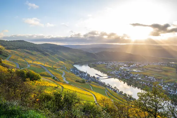 Sonbaharda güzel üzüm bağları, sarı yapraklar, üzüm bağlarının arasında rüya gibi bir gün doğumu. Yollar, Piesport yakınlarındaki güneşli Moselle Vadisi 'nin dik yamaçlarından geçiyor..