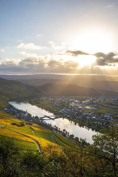 Sonbaharda güzel üzüm bağları, sarı yapraklar, üzüm bağlarının arasında rüya gibi bir gün doğumu. Yollar, Piesport yakınlarındaki güneşli Moselle Vadisi 'nin dik yamaçlarından geçiyor..