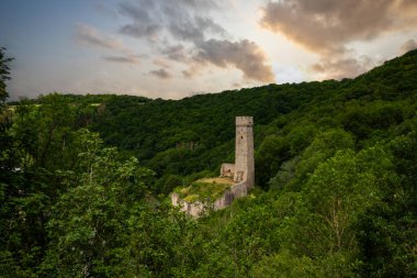 Lwenburg Kalesi 'nin çevresindeki manzara. Ormanın ortasındaki Elzbach deresinin üzerindeki güzel tarihi şato kalıntıları. Almanya, Monreal yakınlarındaki manzara fotoğrafı
