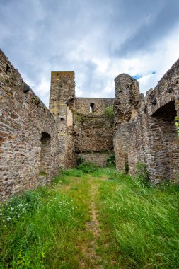 Ormanın ortasındaki Elzbach deresinin üzerindeki güzel tarihi şato kalıntıları. Almanya, Monreal yakınlarındaki manzara fotoğrafı