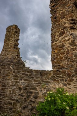 Ormanın ortasındaki Elzbach deresinin üzerindeki güzel tarihi şato kalıntıları. Almanya, Monreal yakınlarındaki manzara fotoğrafı