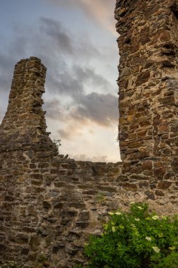 Ormanın ortasındaki Elzbach deresinin üzerindeki güzel tarihi şato kalıntıları. Almanya, Monreal yakınlarındaki manzara fotoğrafı