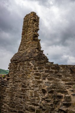 Ormanın ortasındaki Elzbach deresinin üzerindeki güzel tarihi şato kalıntıları. Almanya, Monreal yakınlarındaki manzara fotoğrafı
