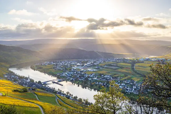 Sonbaharda güzel üzüm bağları, sarı yapraklar, üzüm bağlarının arasında rüya gibi bir gün doğumu. Moselle 'in ve Piesport yakınlarındaki Moselle Vadisi' nin sarmaşıkları arasından bakın..