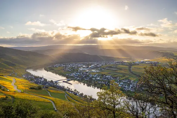 Sonbaharda güzel üzüm bağları, sarı yapraklar, üzüm bağlarının arasında rüya gibi bir gün doğumu. Moselle 'in ve Piesport yakınlarındaki Moselle Vadisi' nin sarmaşıkları arasından bakın..