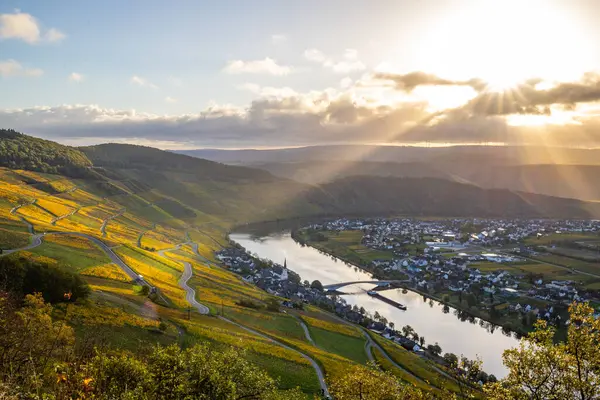 Sonbaharda güzel üzüm bağları, sarı yapraklar, üzüm bağlarının arasında rüya gibi bir gün doğumu. Yollar, Piesport yakınlarındaki güneşli Moselle Vadisi 'nin dik yamaçlarından geçiyor..
