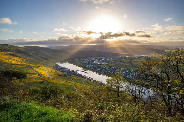 Sonbaharda güzel üzüm bağları, sarı yapraklar, üzüm bağlarının arasında rüya gibi bir gün doğumu. Moselle 'in ve Piesport yakınlarındaki Moselle Vadisi' nin sarmaşıkları arasından bakın..