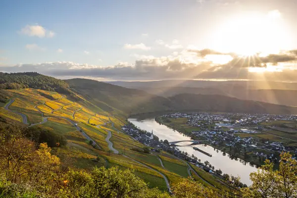 Sonbaharda güzel üzüm bağları, sarı yapraklar, üzüm bağlarının arasında rüya gibi bir gün doğumu. Yollar, Piesport yakınlarındaki güneşli Moselle Vadisi 'nin dik yamaçlarından geçiyor..