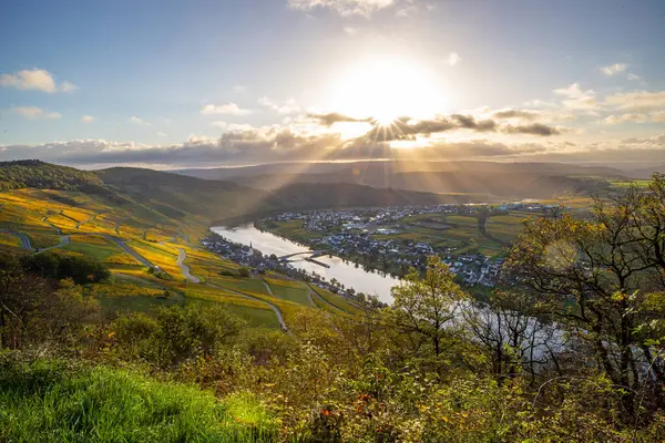 Sonbaharda güzel üzüm bağları, sarı yapraklar, üzüm bağlarının arasında rüya gibi bir gün doğumu. Yollar, Piesport yakınlarındaki güneşli Moselle Vadisi 'nin dik yamaçlarından geçiyor..