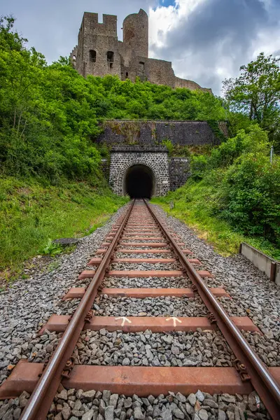 Lwenburg Kalesi 'nin çevresindeki manzara. Ormanın ortasındaki Elzbach deresinin üzerindeki güzel tarihi şato kalıntıları. Almanya, Monreal yakınlarındaki manzara fotoğrafı