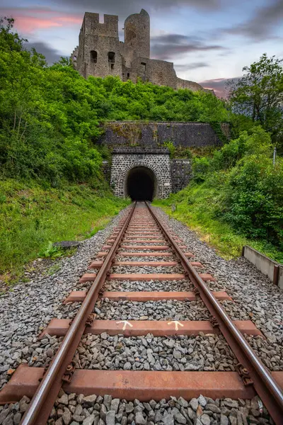 Lwenburg Kalesi 'nin çevresindeki manzara. Ormanın ortasındaki Elzbach deresinin üzerindeki güzel tarihi şato kalıntıları. Almanya, Monreal yakınlarındaki manzara fotoğrafı