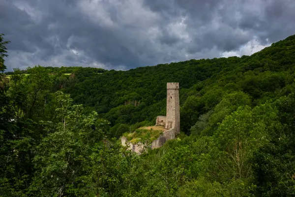 Lwenburg Kalesi 'nin çevresindeki manzara. Ormanın ortasındaki Elzbach deresinin üzerindeki güzel tarihi şato kalıntıları. Almanya, Monreal yakınlarındaki manzara fotoğrafı