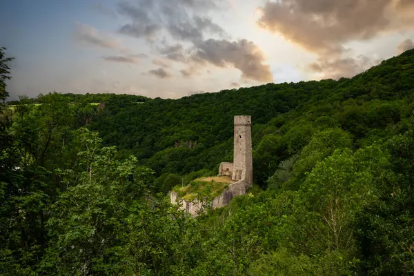 Lwenburg Kalesi 'nin çevresindeki manzara. Ormanın ortasındaki Elzbach deresinin üzerindeki güzel tarihi şato kalıntıları. Almanya, Monreal yakınlarındaki manzara fotoğrafı