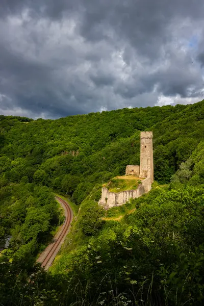 Lwenburg Kalesi 'nin çevresindeki manzara. Ormanın ortasındaki Elzbach deresinin üzerindeki güzel tarihi şato kalıntıları. Almanya, Monreal yakınlarındaki manzara fotoğrafı