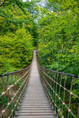 Bir vadi üzerindeki ahşap asma köprü, Alman ormanındaki güzel doğa ve ağaçlar.