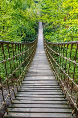 Bir vadi üzerindeki ahşap asma köprü, Alman ormanındaki güzel doğa ve ağaçlar.