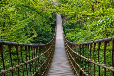 Bir vadi üzerindeki ahşap asma köprü, Alman ormanındaki güzel doğa ve ağaçlar.
