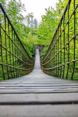 Bir vadi üzerindeki ahşap asma köprü, Alman ormanındaki güzel doğa ve ağaçlar.